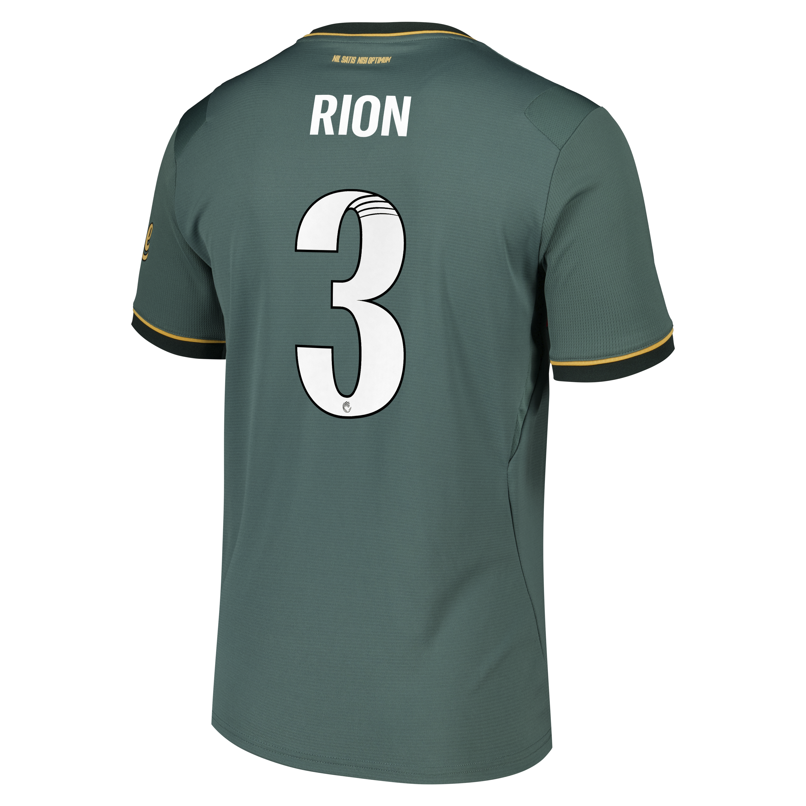 Everton WSL Castore Third Replica Shirt 2026-27 with Rion 3 printing, , rebel_hi-res