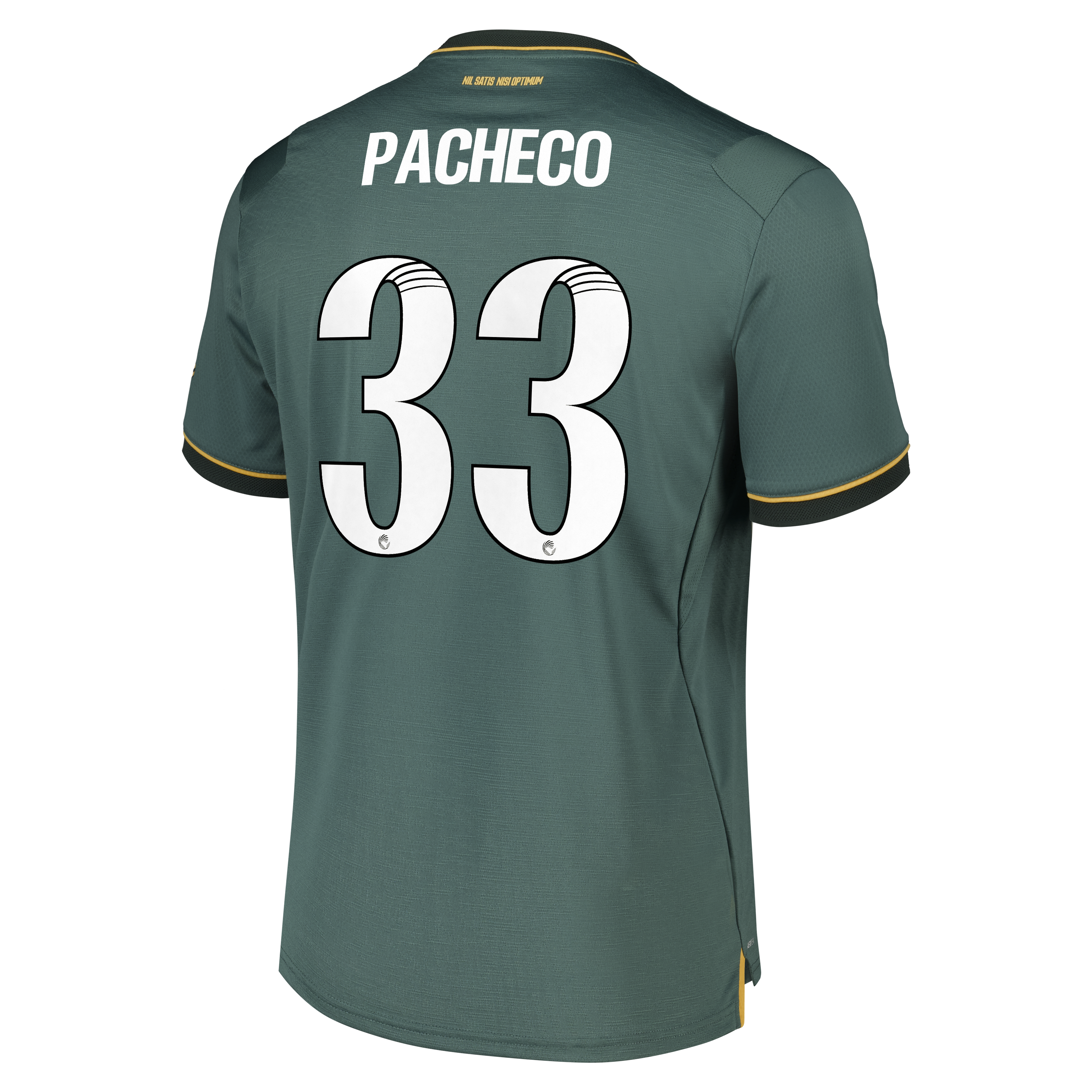 Everton WSL Castore Third Pro Shirt 2026-27 with Pacheco 33 printing, , rebel_hi-res