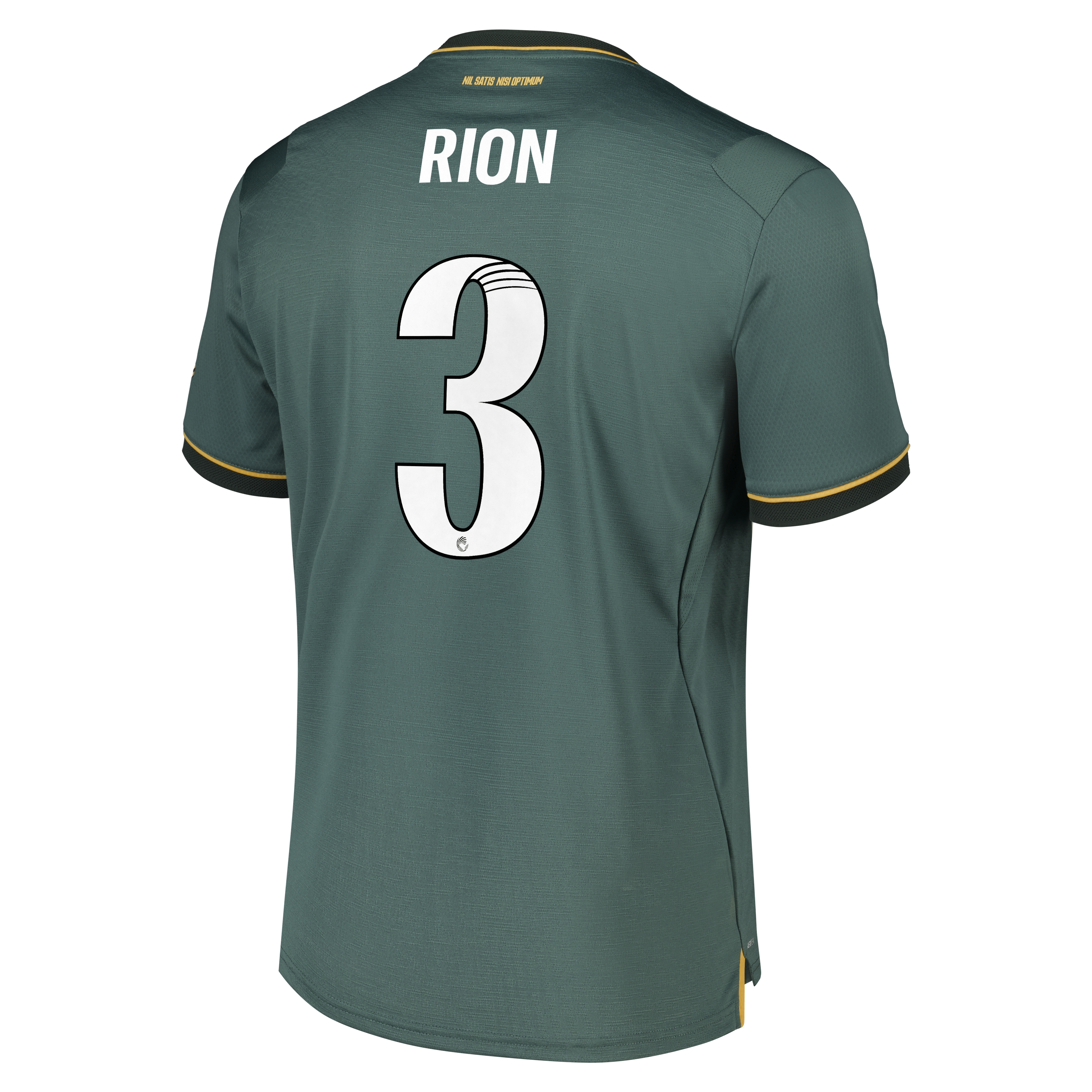 Everton WSL Castore Third Pro Shirt 2026-27 with Rion 3 printing, , rebel_hi-res