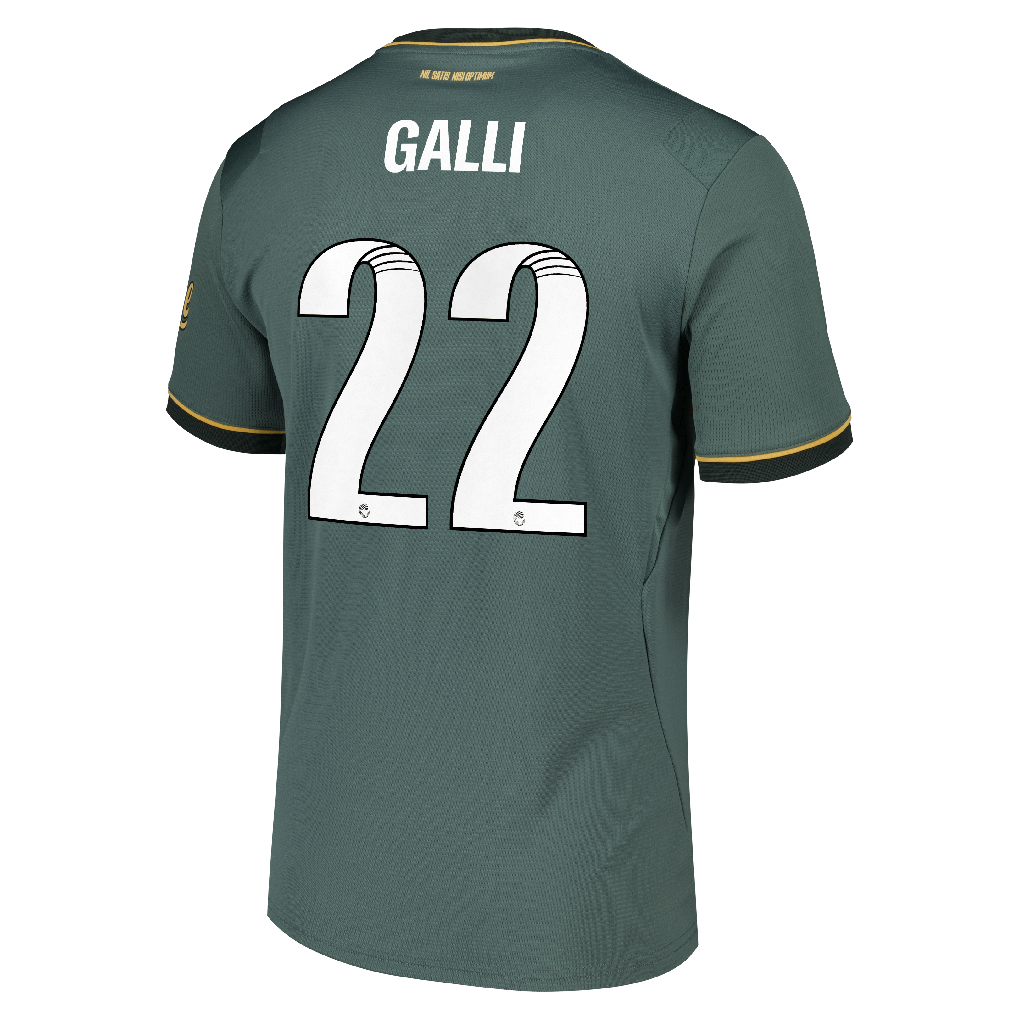 Everton WSL Castore Third Replica Shirt 2026-27 with Galli 22 printing, , rebel_hi-res