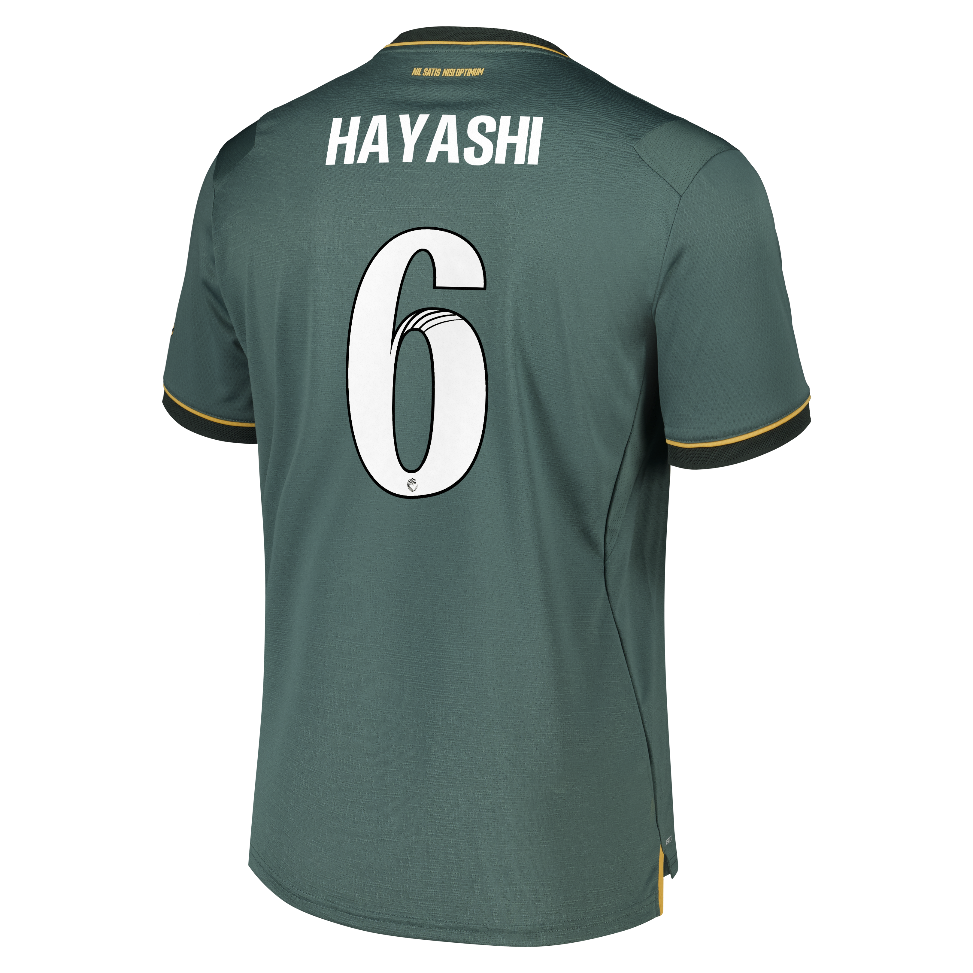 Everton WSL Castore Third Pro Shirt 2026-27 with Hayashi 6 printing, , rebel_hi-res