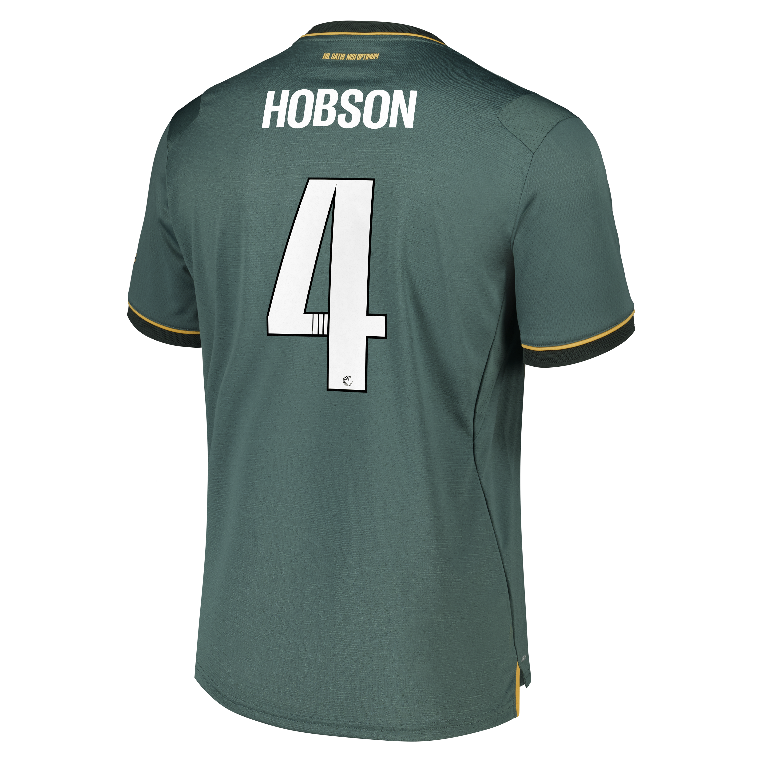 Everton WSL Castore Third Pro Shirt 2026-27 with Hobson 4 printing, , rebel_hi-res