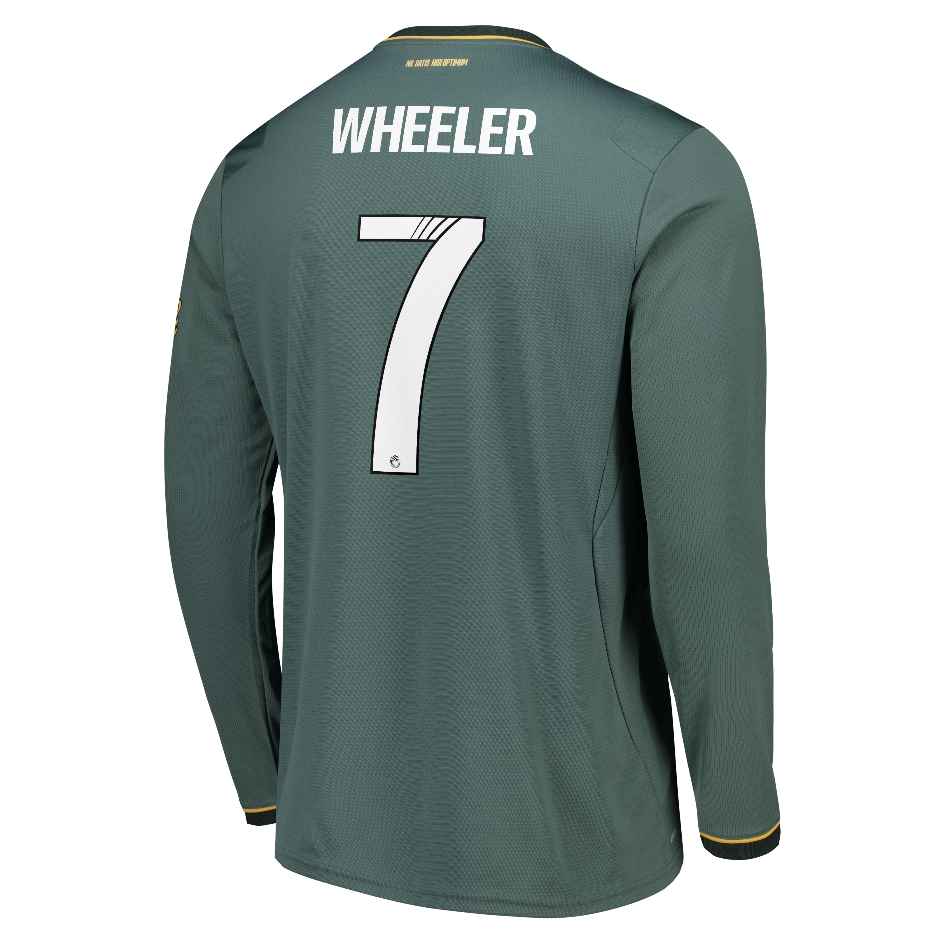 Everton WSL Castore Third Replica Shirt 2026-27 - Long Sleeve with Wheeler 7 printing, , rebel_hi-res