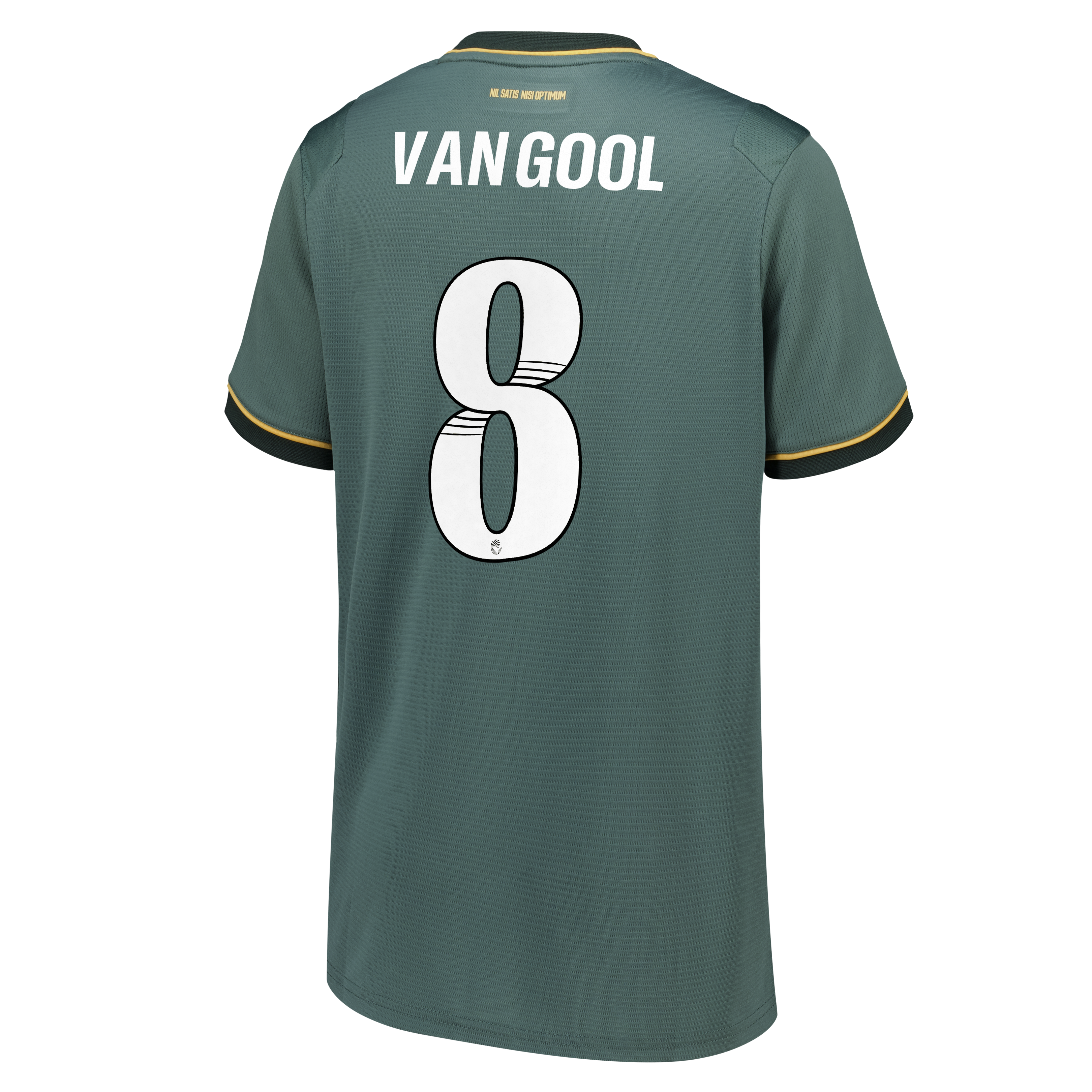 Everton WSL Castore Third Replica Shirt 2026-27 - Kids with Van Gool 8 printing, , rebel_hi-res