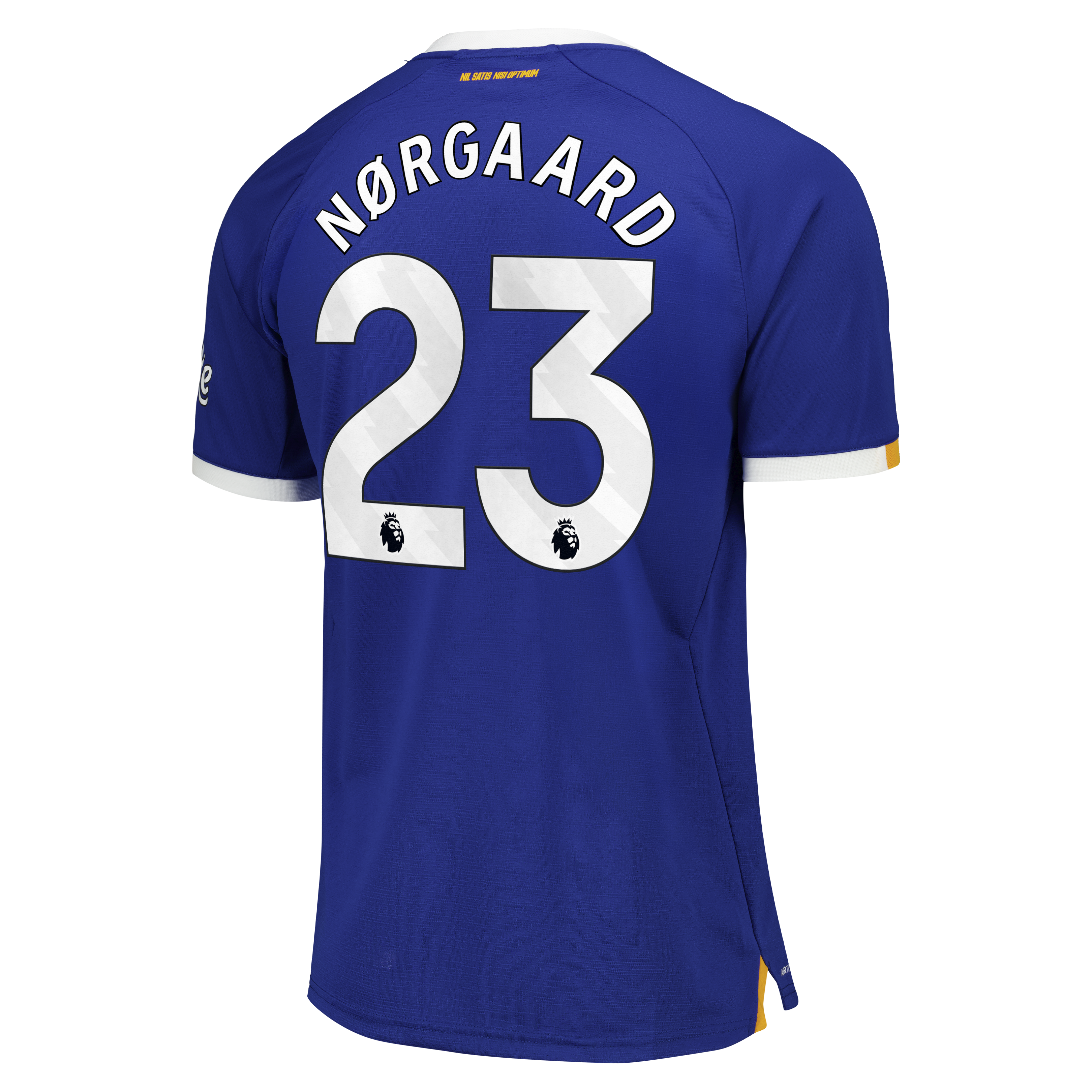 Everton Castore Home Pro Shirt 2026-27 with N&oslash;rgaard 23 printing, , rebel_hi-res
