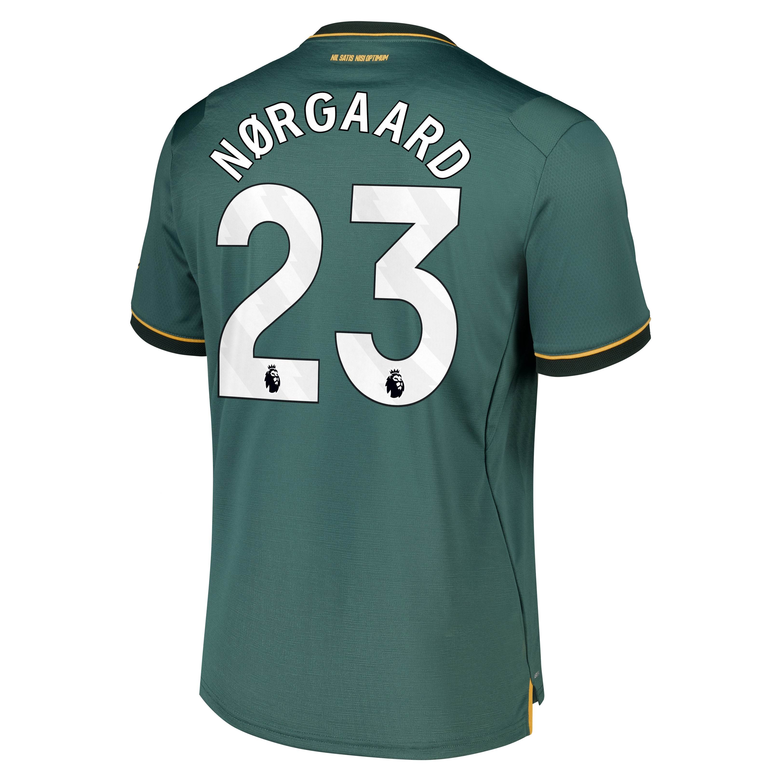 Everton Castore Third Pro Shirt 2026-27 with N&oslash;rgaard 23 printing, , rebel_hi-res
