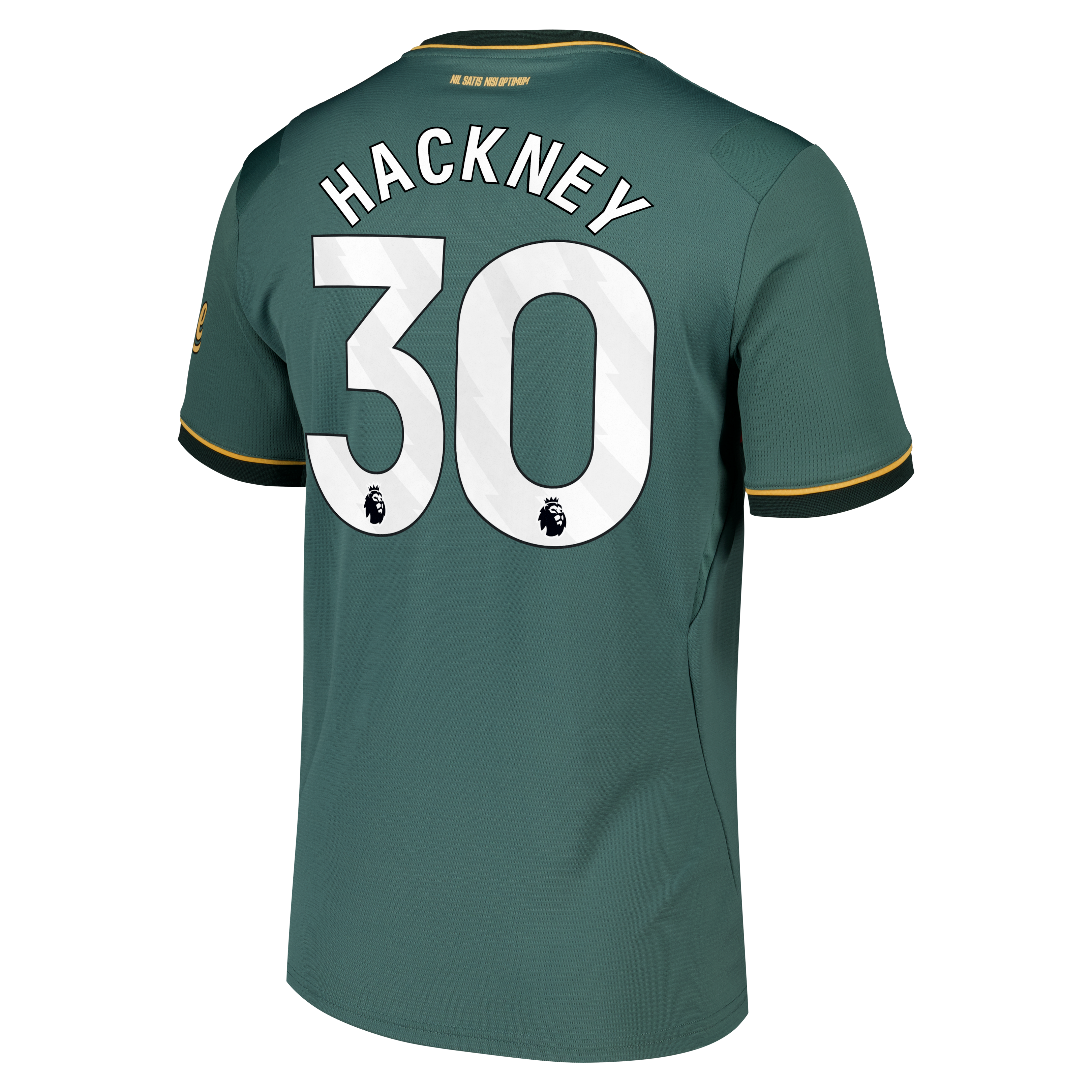 Everton Castore Third Replica Shirt 2026-27 with Hackney 30 printing, , rebel_hi-res
