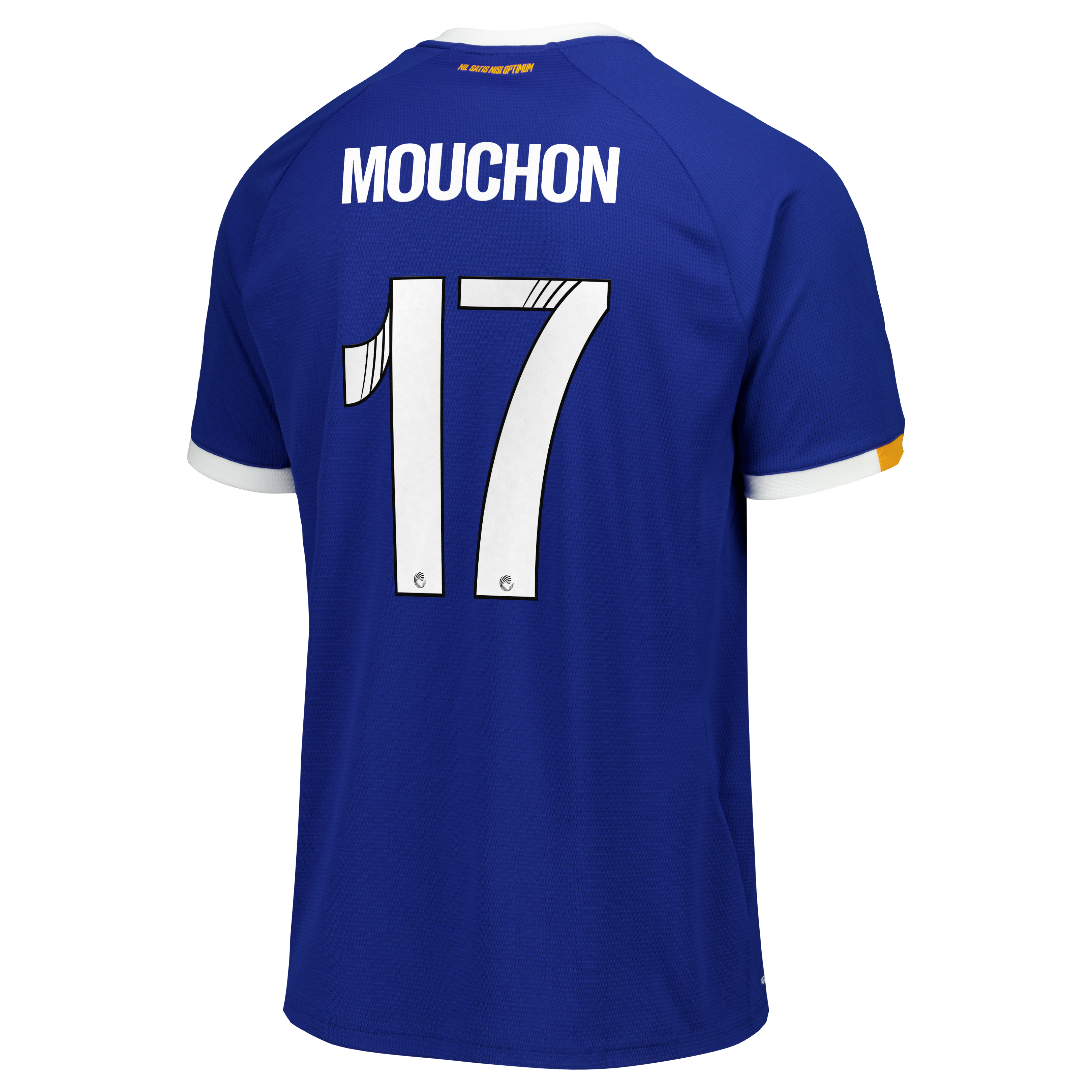 Everton WSL Castore Home Replica Shirt 2026-27 with Mouchon 17 printing, , rebel_hi-res