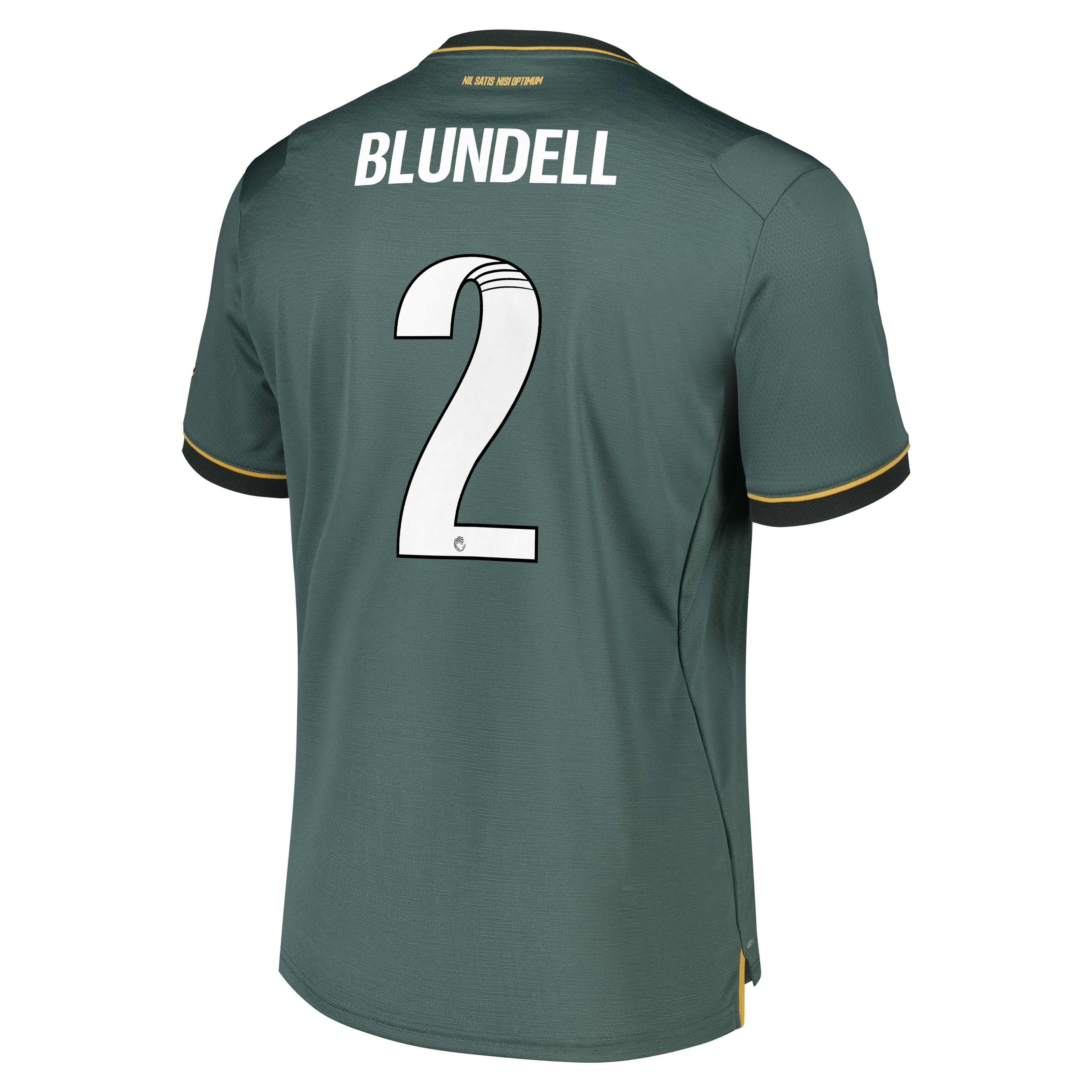 Everton WSL Castore Third Pro Shirt 2026-27 with Blundell 2 printing, , rebel_hi-res