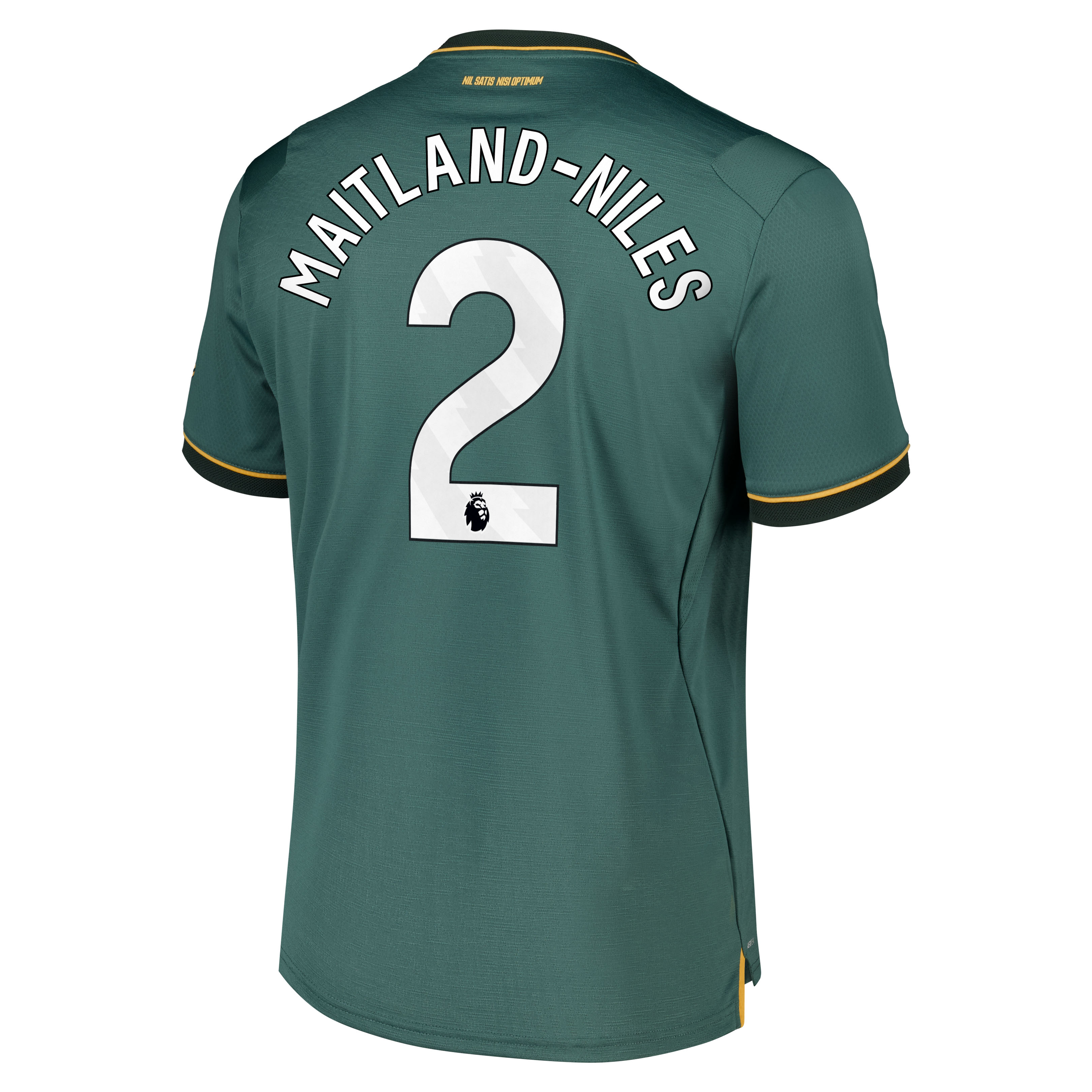 Everton Castore Third Pro Shirt 2026-27 with Maitland-Niles 2 printing, , rebel_hi-res